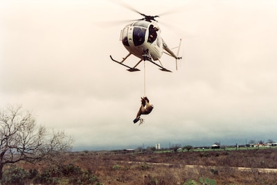 Will Vogt These Americans book photography