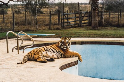 Will Vogt These Americans book photography