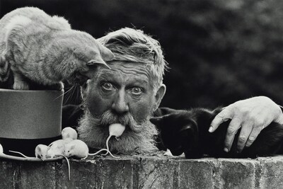 Don McCullin online exhibition Hamiltons Gallery