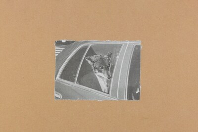 From Some Collages by Jim Jarmusch book