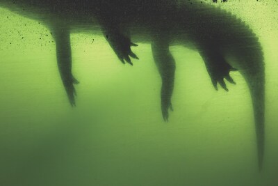 Deutsche B&#246;rse Photography Prize 2022