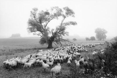 Jamie Hawkesworth A Short Pleasurable Journey Part Two 