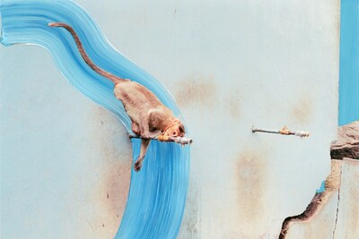 A Myth of Two Souls Vasantha Yogananthan Photography 2019