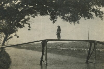 Untitled from History of Life Cai Dongdong book