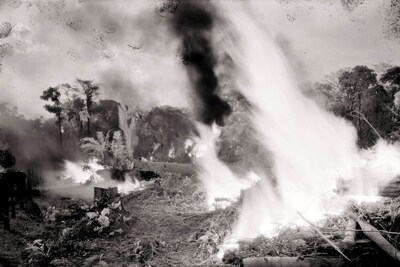 Broken Spectre by Richard Mosse