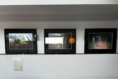 Another Man’s Derek Jarman Screening at the ICA