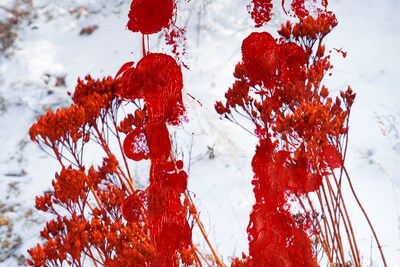 unseensights_00009
