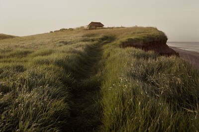 Land Loss by Max Miechowski