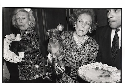 02_Dachshunds fighting over canapes, Barbetta, New