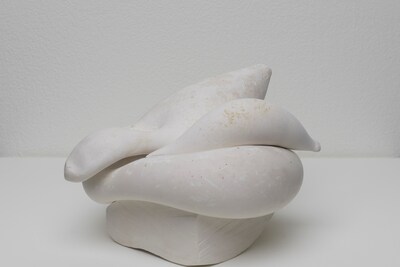 Maria Bartuszova - Folded Figure