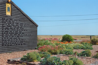Derek Jarman Tilda Swinton Prospect Cottage Art Fund