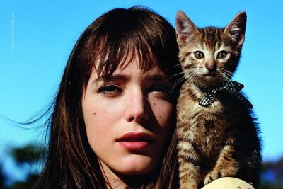 Miu Miu Givenchy Gucci Stella McCartney Cats in Fashion