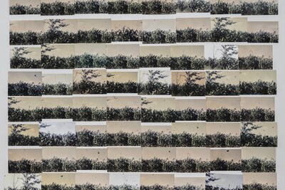 My Mother and Eye by Carmen Winant