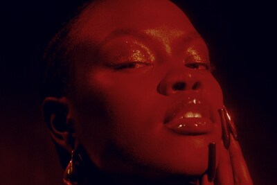 Black Fashion Fair: Volume 0: SEEN