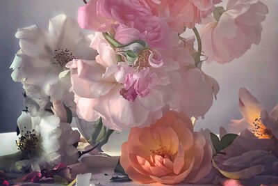 Nick Knight Roses Albion Barn Interview