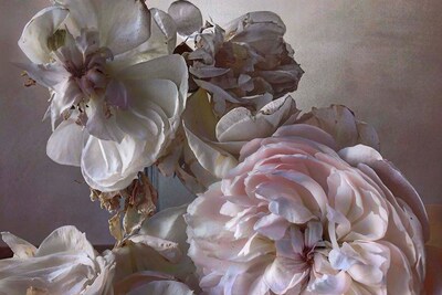 Nick Knight, Saturday 8th August, 2015 