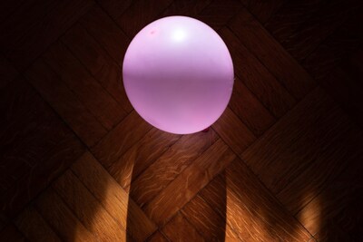 IN by Benjamin Donaldson, Ottilie Leete, and Lisa Kereszi