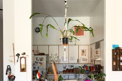 Pellavi Sen_installing orchid without ladder