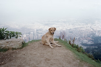 Magnum Square Print Sale: On the Horizon