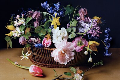 SharonCore_1614_VariousFlowers
