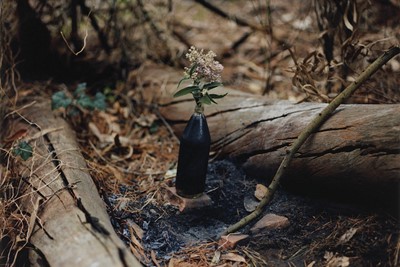 Gregory Halpern Magnum Square Print Sale Turning Points