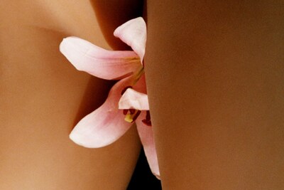 Harley Weir Beauty Papers IDEA