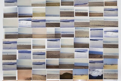 My Mother and Eye by Carmen Winant