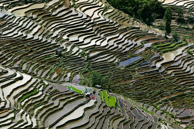 Edward Burtynsky's Clarion 'Watermark