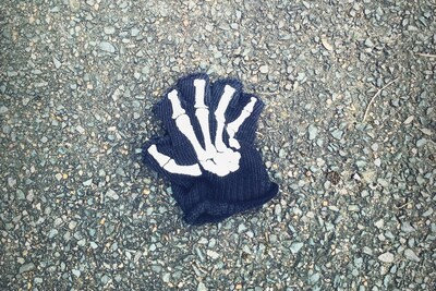 Little Book of Lost Gloves