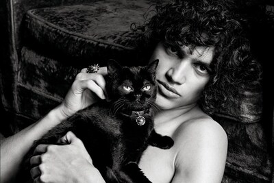 Miu Miu Givenchy Gucci Stella McCartney Cats in Fashion