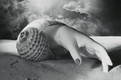 Dora Maar Untitled (Hand Shell)
