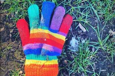 Little Book of Lost Gloves