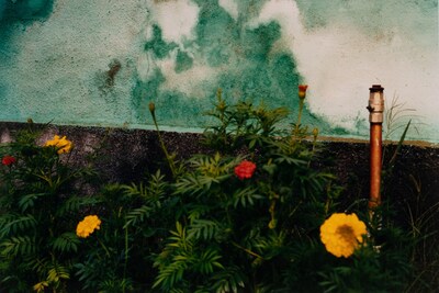 Jamie Hawkesworth A Short Pleasurable Journey Part Two 