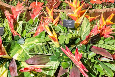 **06_AlexanderCoggin_ChelseaFlowerShow_AnOther