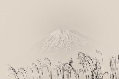 #754
