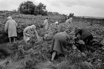 Martin Parr Early Works Photography Book United Kingdom