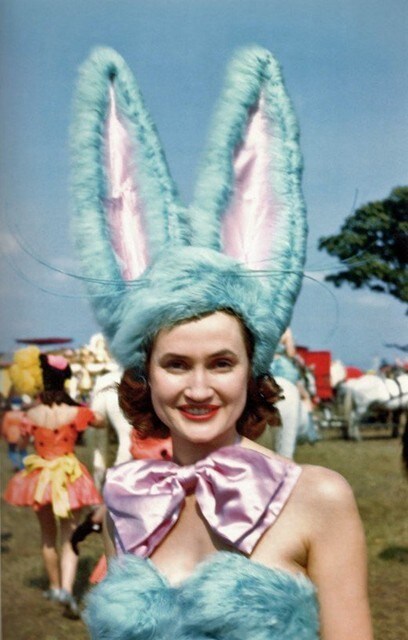 Circus Bunny