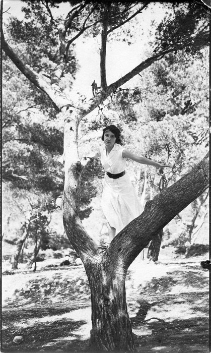 Frau Auf Baum, Braun