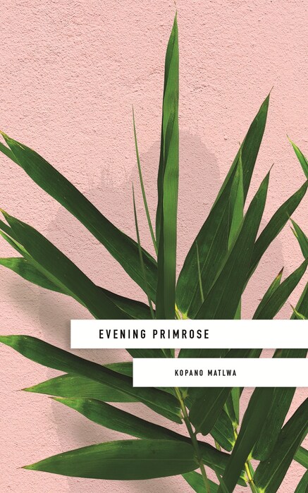 EVENING PRIMROSE JACKET FINAL