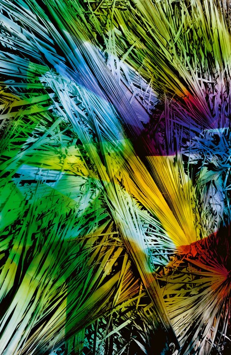Palm1