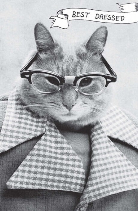 Cat High: The Yearbook