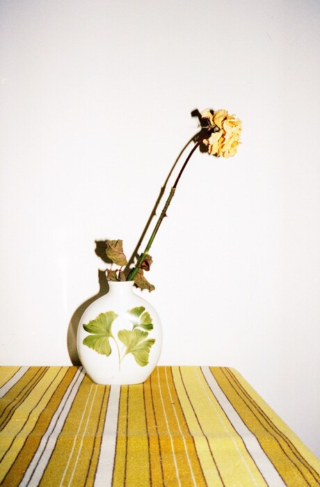 yellow flower