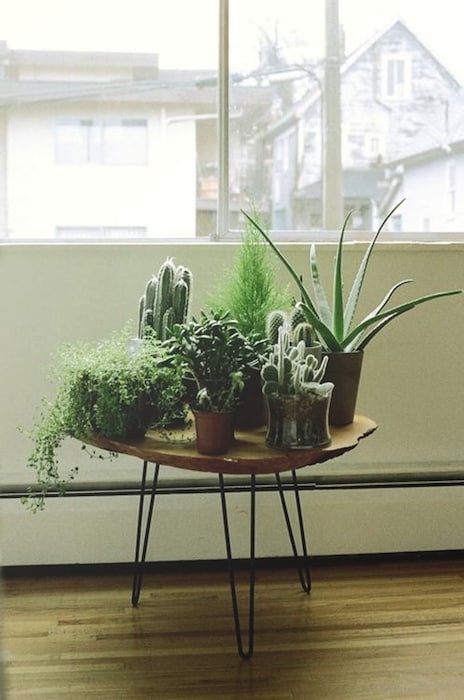 Courtesy of juliedigsdesign.com