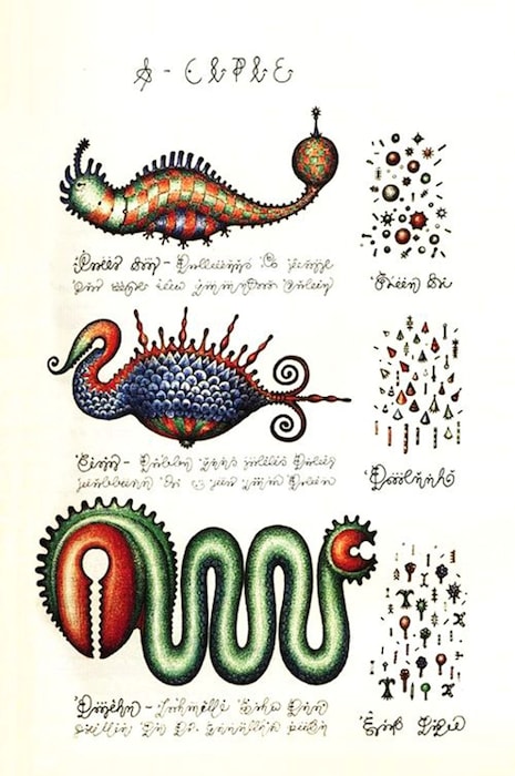 Codex Seraphinianus 