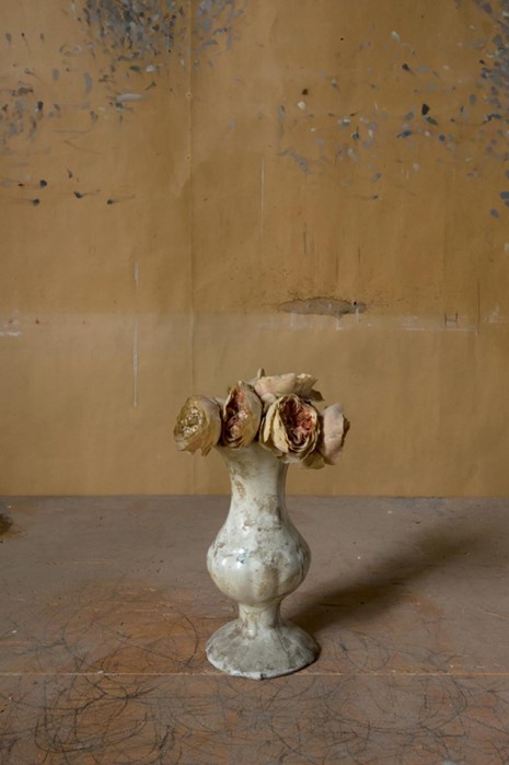 3_Meyerowitz_Gallery_02