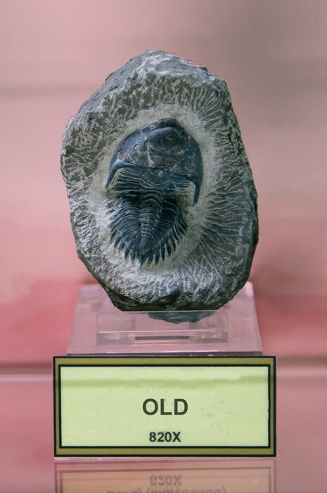Kevin_Tadge_Museum_028