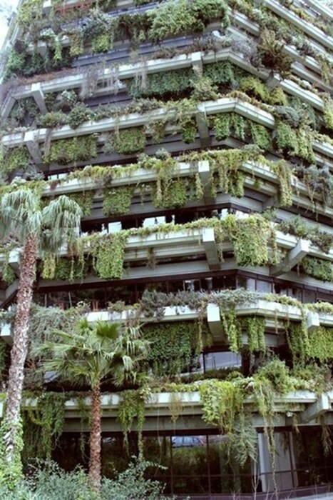 Vertical Garden