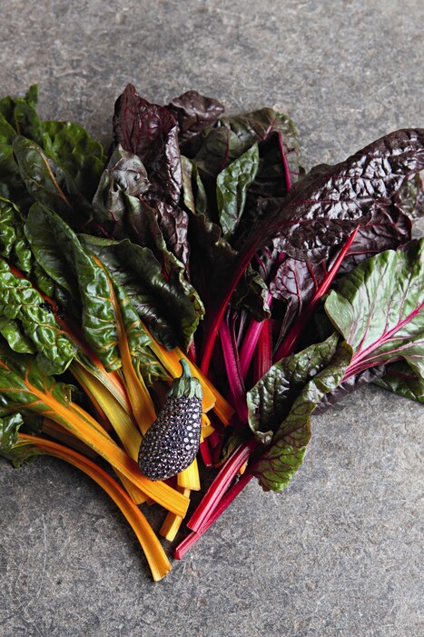 Aubergine and rainbow chard