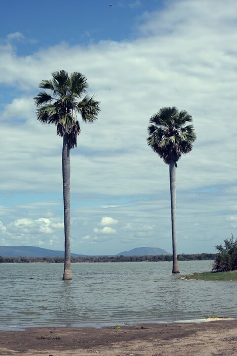 tumblr_m252uoZJ5d1r3emxzo1_1280