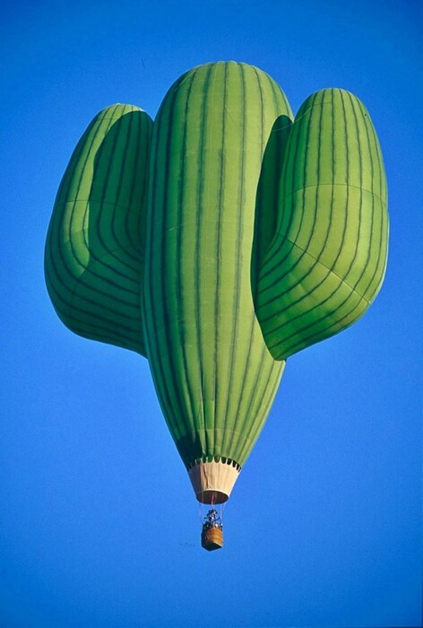 A Cactus Hot Air Balloon